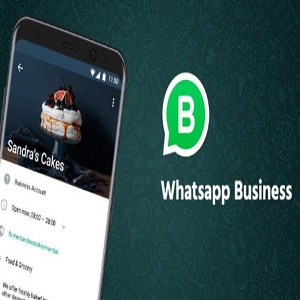 WhatsApp Business, lo que necesitas saber para aplicarlo a tu empresa