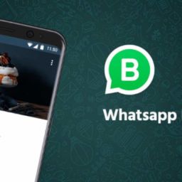 WhatsApp Business lo que necesitas saber para aplicarlo a tu empresa