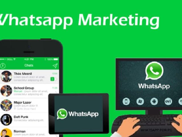 Como Desarrollar Una Campana De Marketing En Whatsapp En 5 Pasos